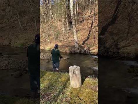 Mark Fly Fishing For Native Brook Trout In Pa Youtube