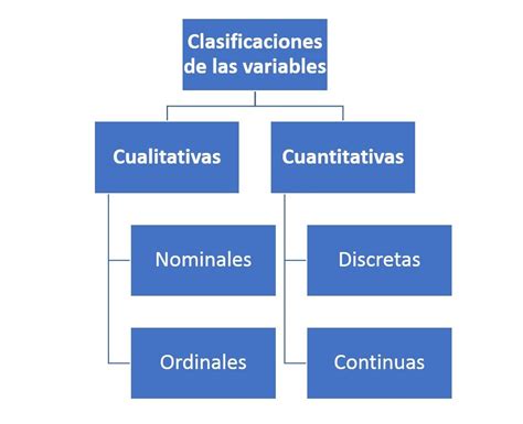 Clasificacion De Las Variables