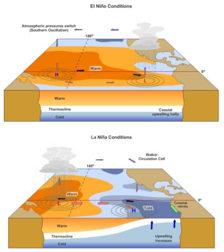 Climalteranti It Riscaldamento Globale Quale Impatto Su El Ni O E La