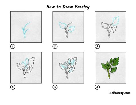 How To Draw Parsley Helloartsy