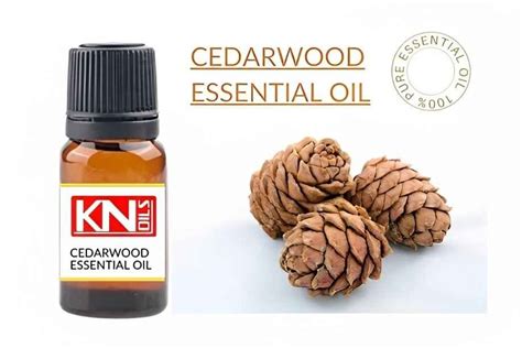 Cedarwood Essential Oil Buy 100 Pure And Essential Oil