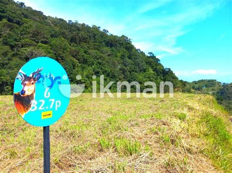 Exclusive Residential Lands In Ambewela Ikman