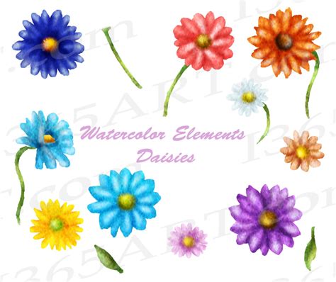 50 Off Daisy Clipart Watercolor Daisies Clip Art Floral Etsy