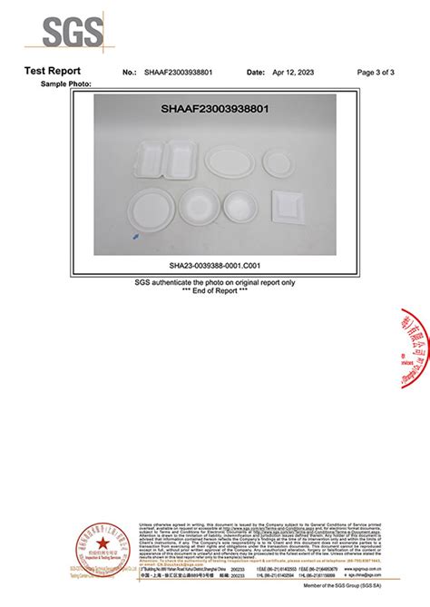 PFAS FREE Certificate BioKing Sugarcane Bagasse Pulp Tableware Supplier