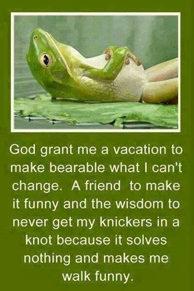 Best Funny Serenity Prayers Images On Pinterest Funny Stuff