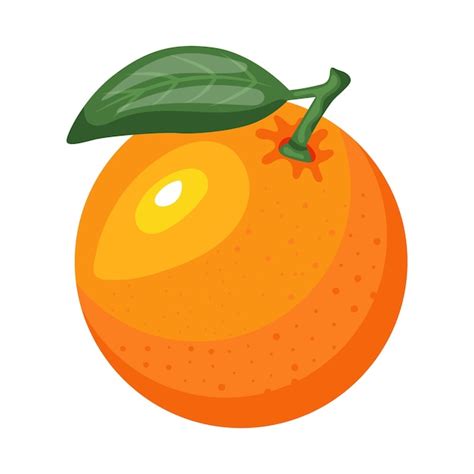 Premium Vector Orange Mandarin Fruit Vector Illustration