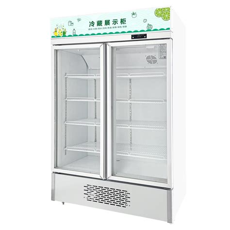 Double Glass Doors Direct Cooling Commercial Freezer Upright Display Beverage Cooler