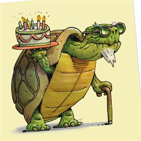 Whippersnapper Old Turtle With Cake Funny Birthday Card Greeting