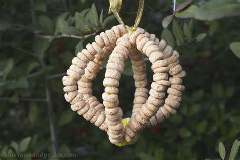 Cheerio Bird Feeders