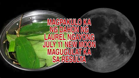 Magpakulo Ka Ng Dahon Ng Laurel Ngayong July New Moon Magugulat Ka