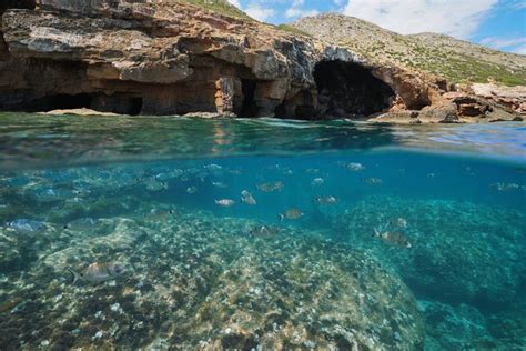 Tour De Caiaque Por J Vea Snorkel Reserve Em Civitatis