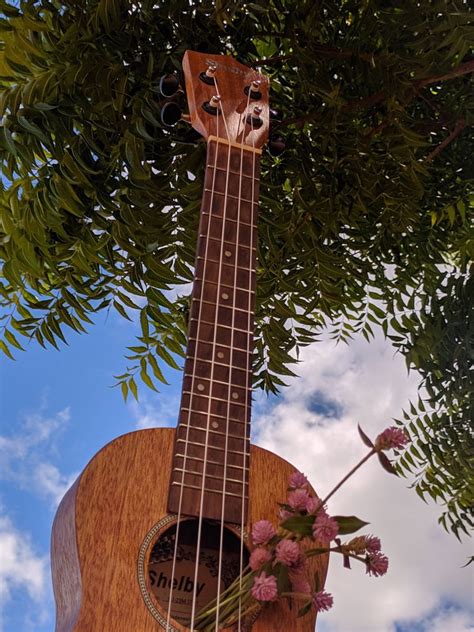 Ukulele Flowers Em 2022 Ukulele Fofinho