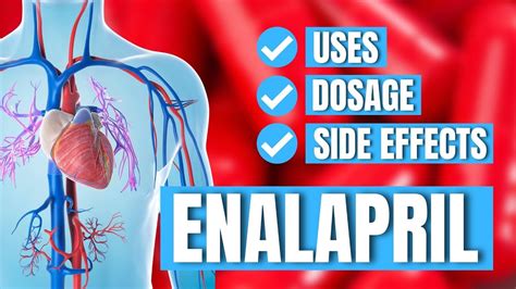 Enalapril (Vasotec) - Uses, Dosage, Side Effects - Doctor Explains - YouTube