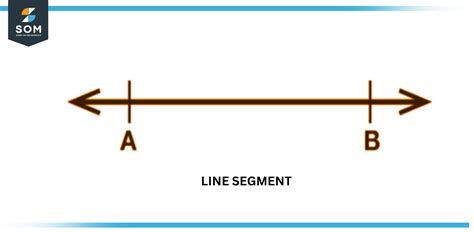 Segment | Definition & Meaning