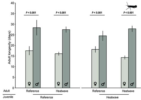 Effects Of Sex Developmental And Adult Thermal Regime On Adult