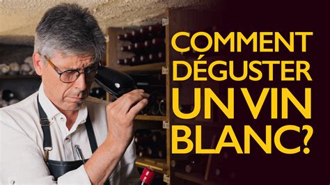 Formation Comment Choisir Un Vin