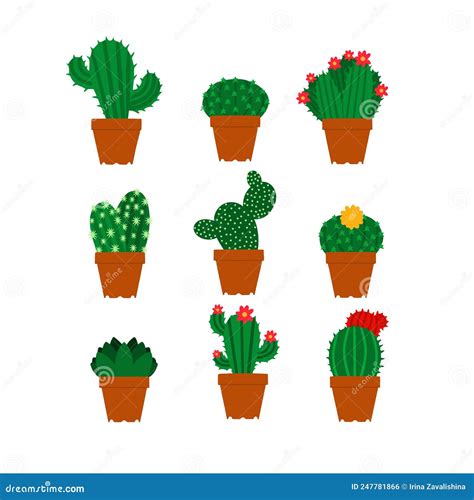 Set of Different Types of Cacti. Vector Illustration. Prickly and ...