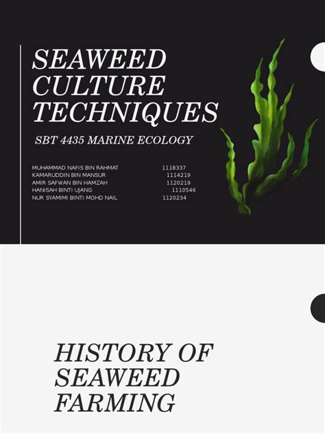 Seaweed Culture Techniques | PDF | Seaweed | Rope