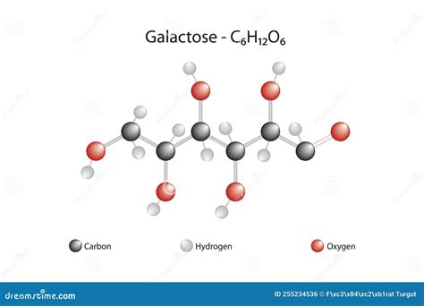 Molecular Formula And Chemical Structure Of Galactose Stock Vector Illustration Of Sugar