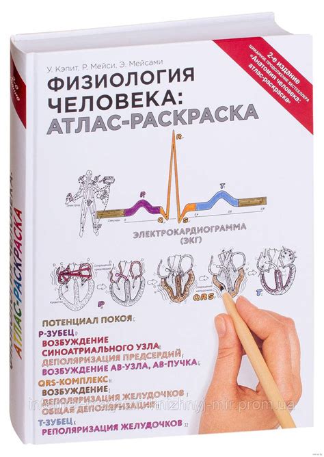 Физиология Человека: Атлас-раскраска. Медицинская Энциклопедия — Купить ...