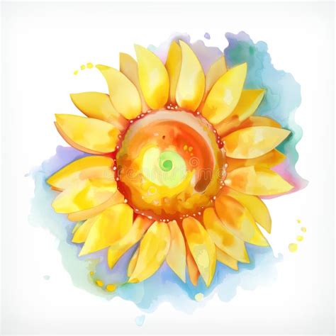 Girasole Della Pittura Dell Acquerello Illustrazione Vettoriale