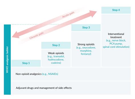 Analgesic Ladder