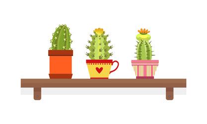 Cactus or cacti as plant with leafless spiny stem Vector Image