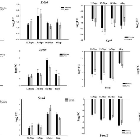 Validation Of The Identified Sex Biased Gene Expression By Qpcr