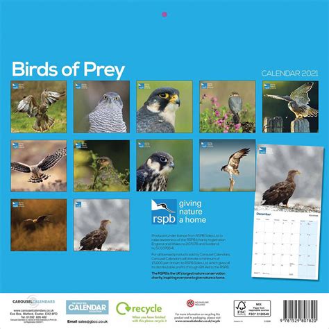 Birds Of Prey Calendar Manya Ruperta