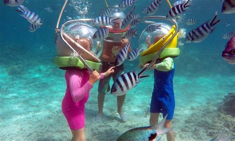 Underwater Sea Walk In Mauritius A Detailed Guide To Sea Life The