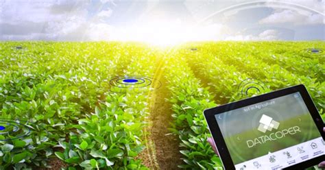 Os Impactos Da Tecnologia No Campo Com A Agricultura 40