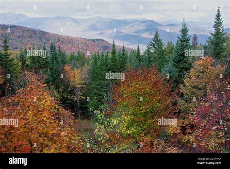 New England Mountains In Autumn Hi Res Stock Photography And Images Alamy