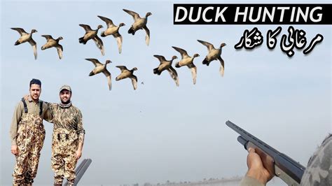 Duck Hunting At Jhelum River Murghabi Ka Shikar Hunting By