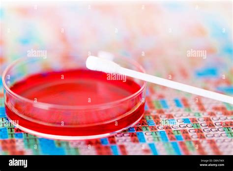 Swab Hi Res Stock Photography And Images Alamy