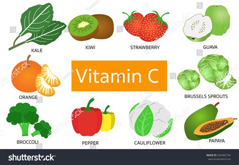 Vitamin C Food Sources On White: vector de stock (libre de regalías ...