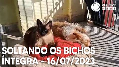 Soltando Os Bichos 16 07 2023 YouTube