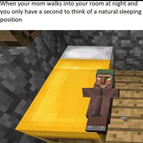 Follow Me For Funny Minecraft Memes And Cursed Minecraft Images Minecraft Memes Minecraft