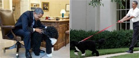 Barack Obama and all his family is a real dog lover