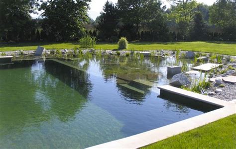 natuurlijke zwemvijver - Google zoeken | Schwimmteich ...