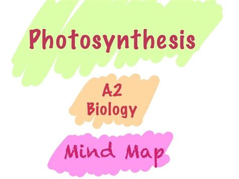 Photosynthesis Mind Map for Biology A Level | Teaching Resources