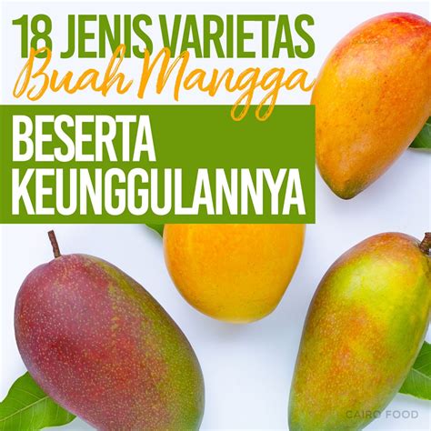 18 Jenis Varietas Buah Mangga Beserta Keunggulannya