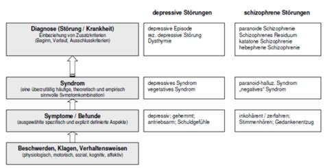 Aufgaben Der Psychopathologie Der Psychopathologische Befund Ppb