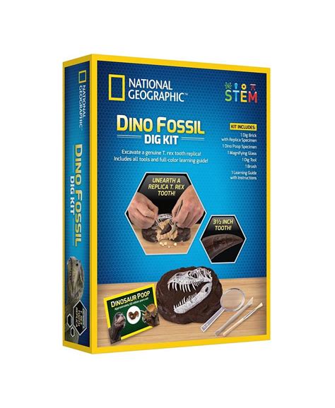 National Geographic Dino Dig Kit - Macy's