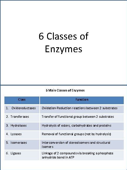 Enzymes General Enzymes Proteins That Catalyze Biochemical Reactions