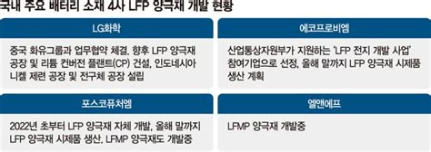 Lg화학도 가세 K배터리 소재사 Lfp양극재 개발 진격 파이낸셜뉴스