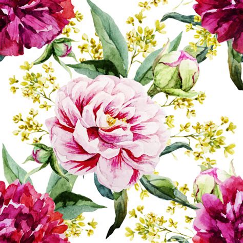 Peony Watercolor Drawn Seamless Pattern Vector Vectors Graphic Art Designs In Editable Ai Eps