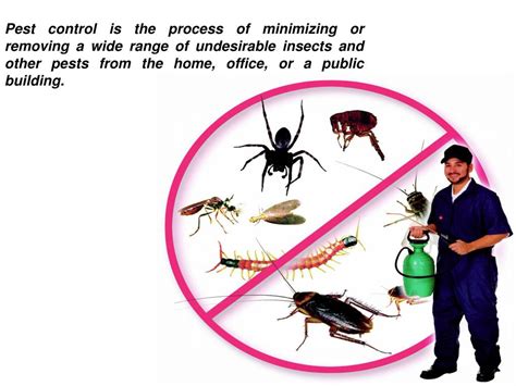 Ppt Various Types Of Pest Control Methods Powerpoint Presentation