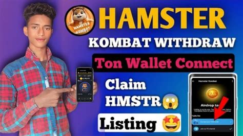 Hamster Kombat Withdraw Update Hamster Kombat Ton Wallet Connect To