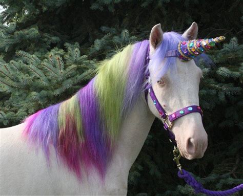 Pictures Of Real Life Unicorns