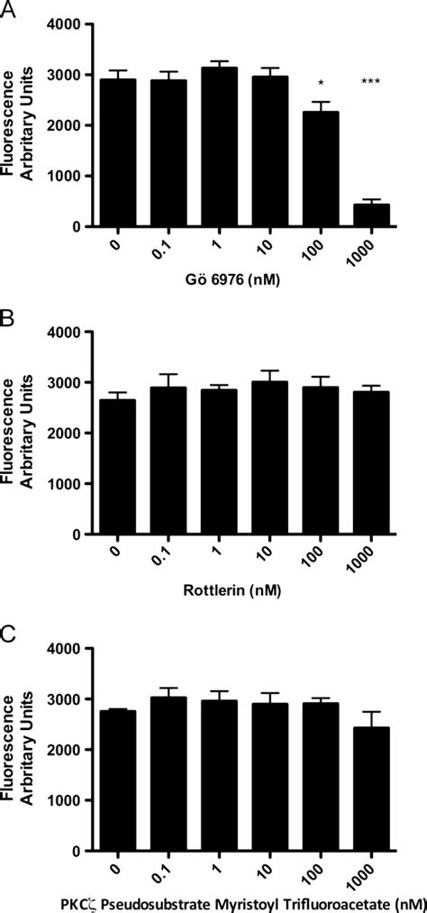 Effect Of Isozyme Specific Pkc Inhibitors On Net Formation Cells Were